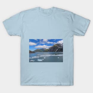 USA. Alaska. Lake with Flowing Ice. T-Shirt